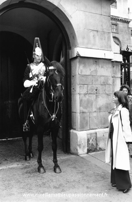 Devant le Horse Guard impavide