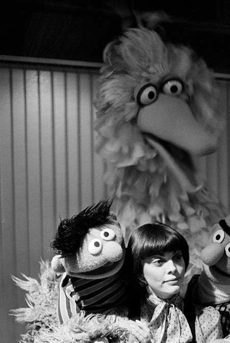 Avec les Muppet's de Sésame Street